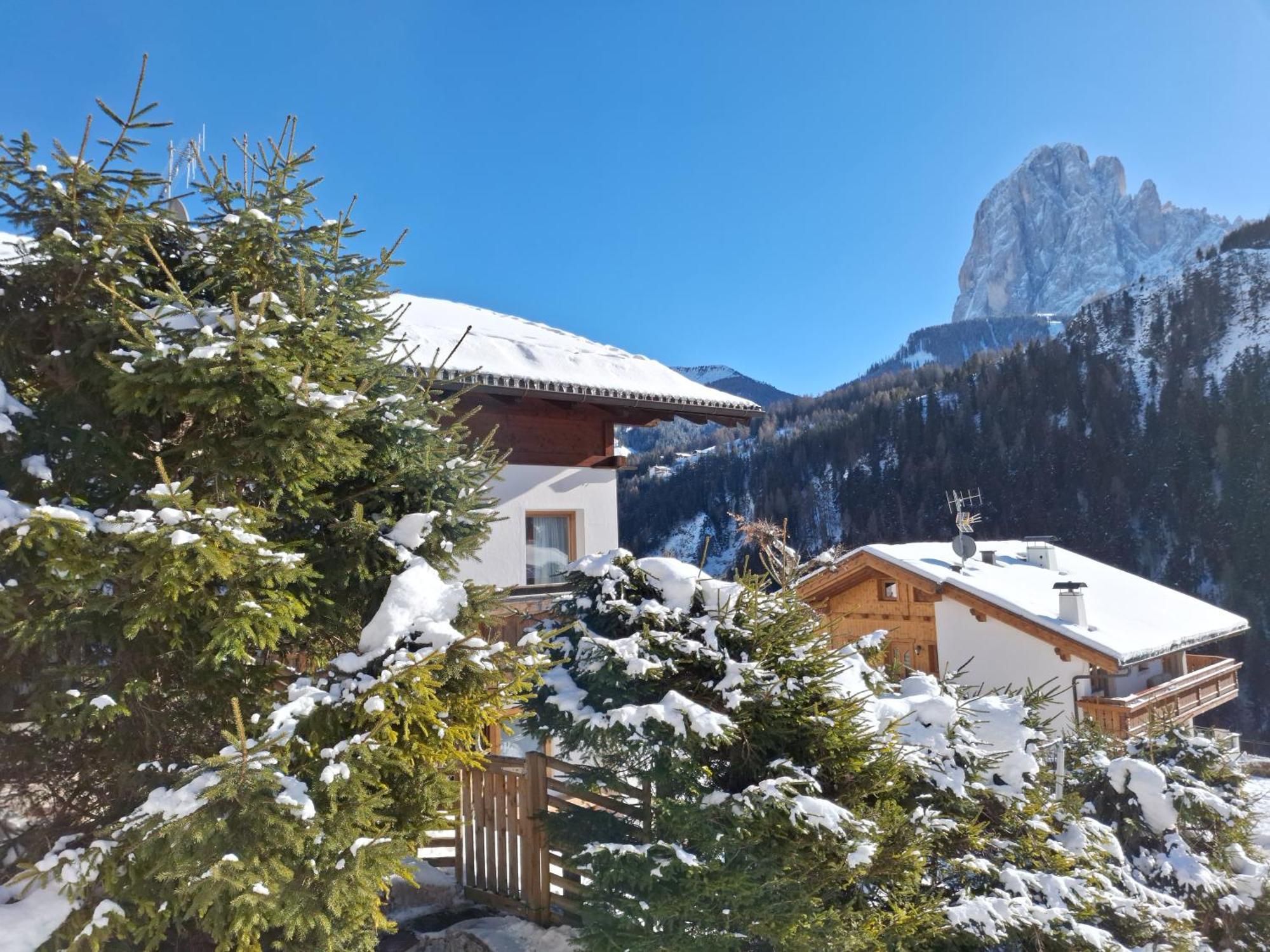 Apartments Insam Santa Cristina Val Gardena Екстериор снимка